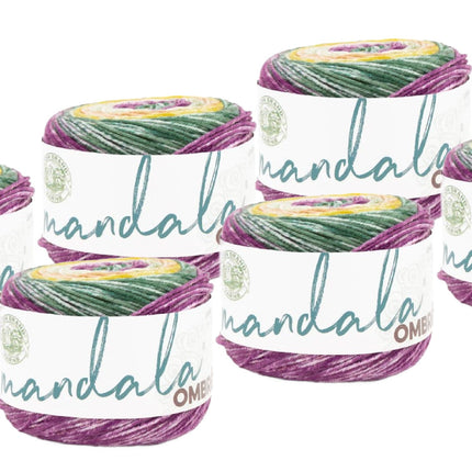 Lion Brand Yarn -Mandala Ombre - 6 Pack with Needle Gauge
