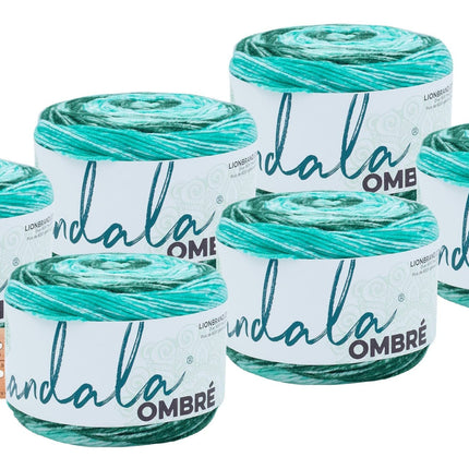 Lion Brand Yarn -Mandala Ombre - 6 Pack with Needle Gauge